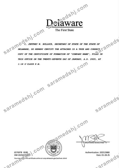USA Delaware registration certificate Word and PDF template